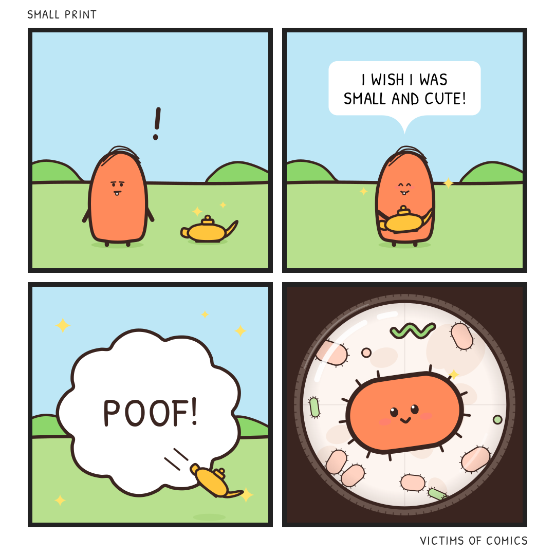 Four-panel comic. 1: On green grass under a blue sky, an orange bean-shaped guy with a thin combover and one buck tooth stares at a golden lamp beside him, a "!" above his head. 2: He holds the lamp to his chest, eyes shut and smiling. Speech bubble: "I wish I was small and cute!" 3: A big white cloud fills the panel with the word "POOF!", the lamp tumbling out of it onto the grass. 4: Seen through a microscope lens, a smiling orange bacterium with tiny hairs and blushing cheeks, among pale pink and green germs.
